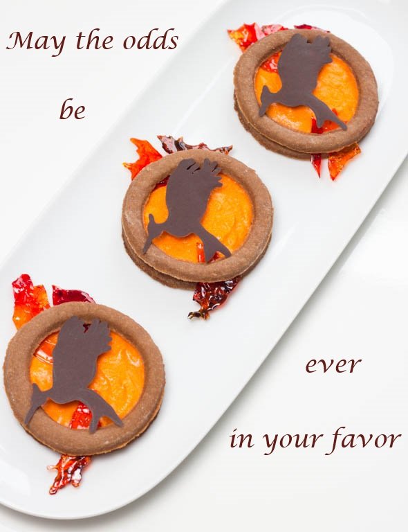 Catching Fire Cookies