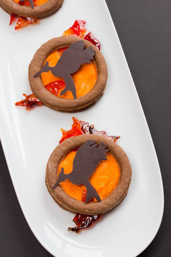 Catching Fire Cookies Stasty