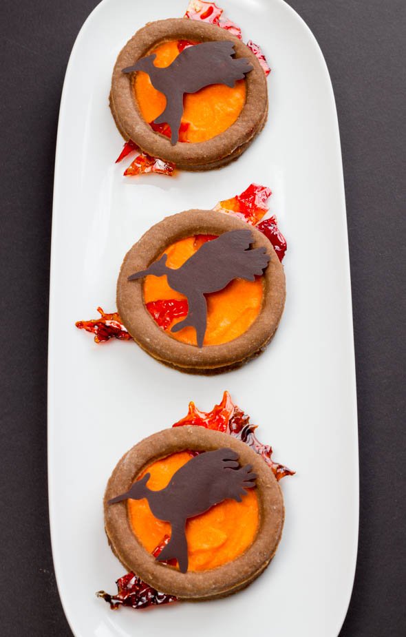 Catching Fire Cookies