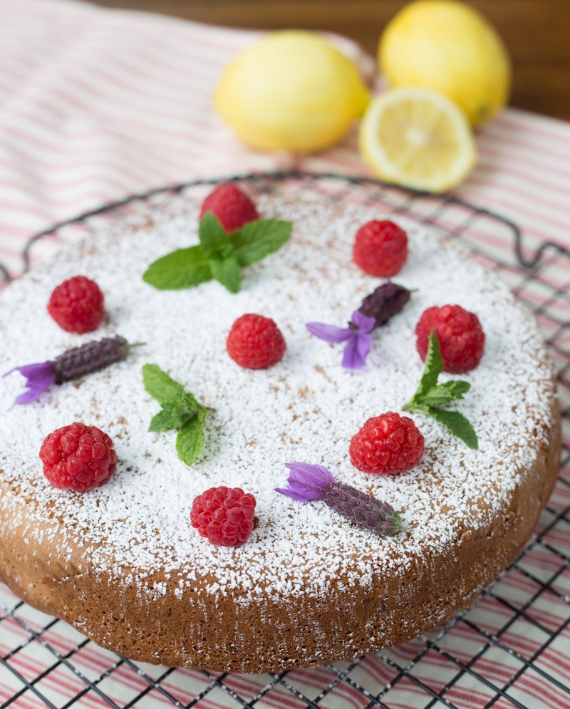 LemonOliveOilCake (2)