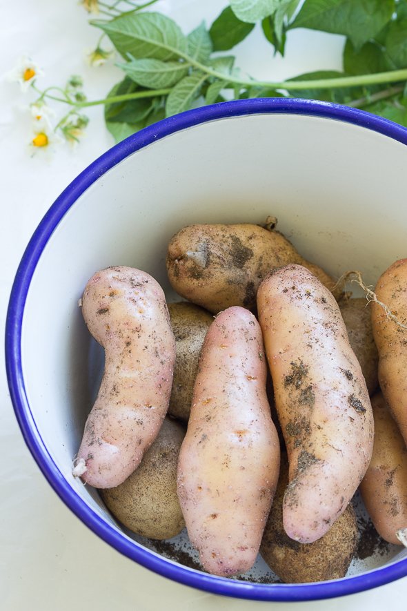 Potato Salad with Smoked Salmon and Eggs