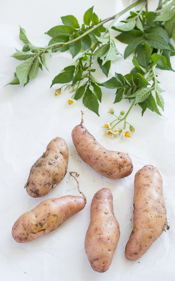 Potato Salad with Smoked Salmon and Eggs