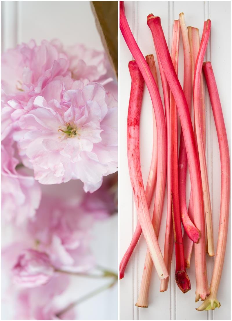 rhubarbcustard-collage